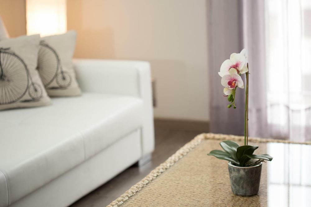 Apartamentos Dacris Херте Экстерьер фото
